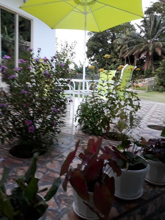 Loversnest Self Catering Anse aux Pins Exterior foto